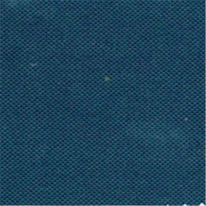 Navy Rhino Canvas Fabric