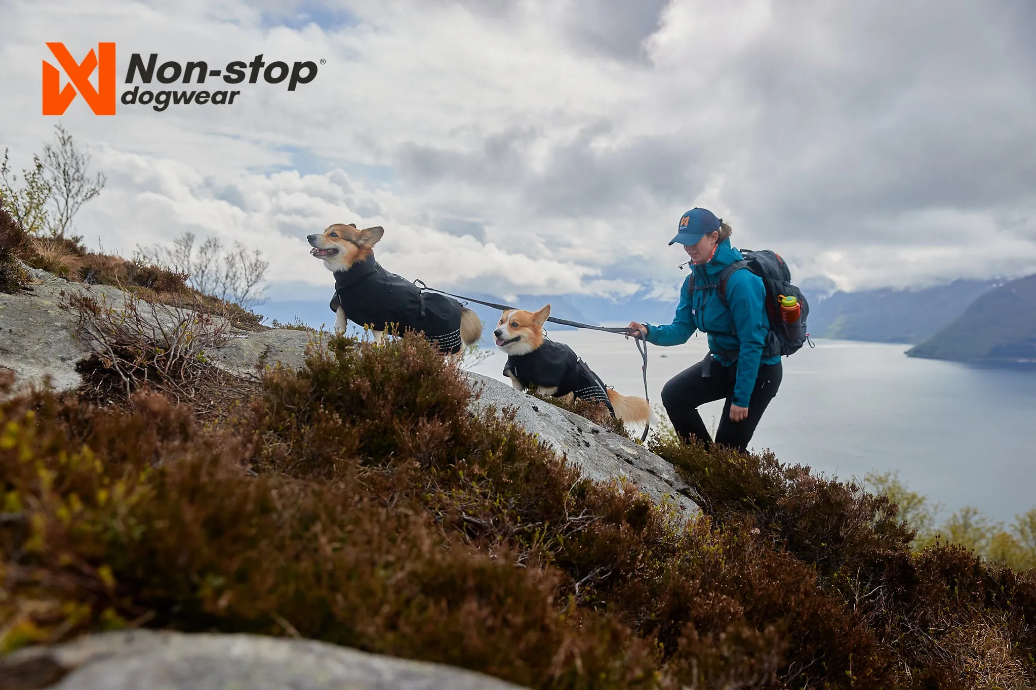 Non-Stop Dog Wear: Fjord Dog Raincoat